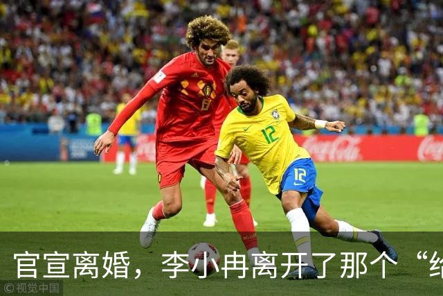 官宣离婚，李小冉离开了那个“给你五个亿让你作”的男人
