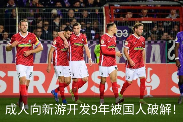 成人向新游开发9年被国人破解！作者崩溃 不想干了